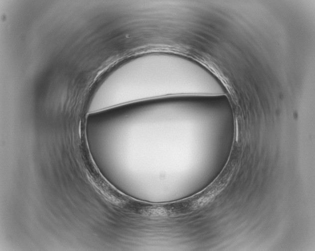 X0000087740253200705070933