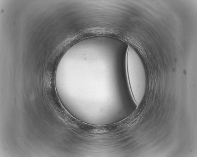 X0000087740255200705070933