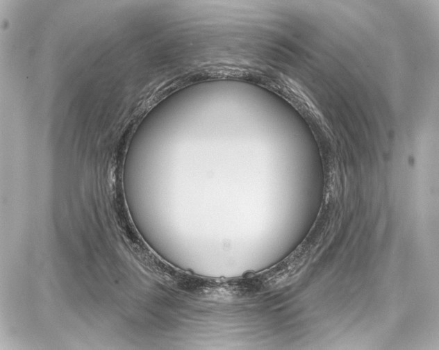 X0000087740259200705070934
