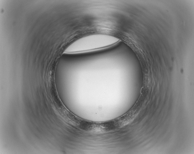 X0000087740263200705070934