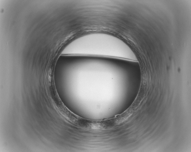X0000087740264200705070934