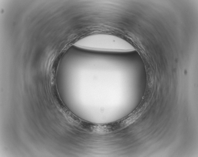 X0000087740273200705070934