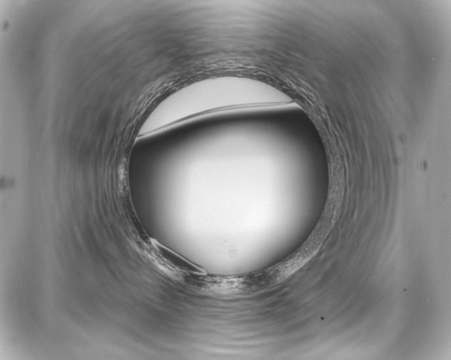 X0000087740288200705070934