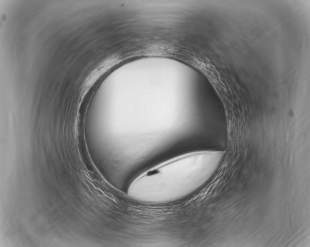 X0000087740292200705070933