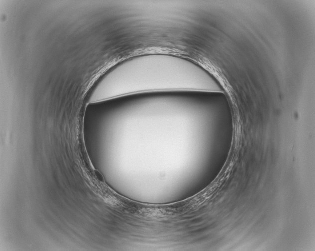 X0000087740297200705070933