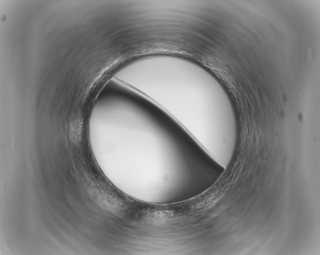 X0000087740304200705070933