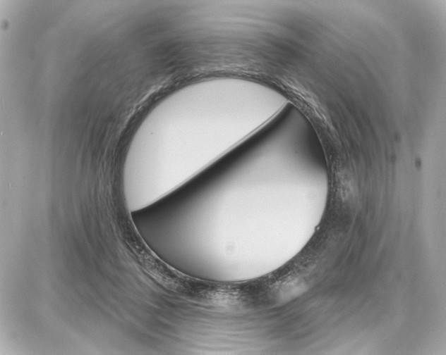 X0000087740308200705070933