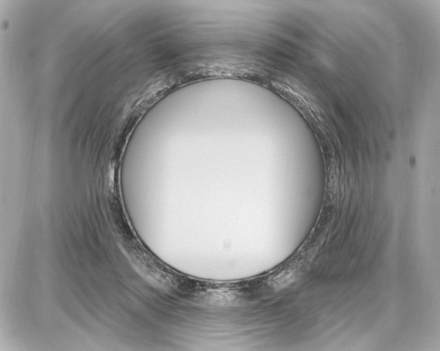 X0000087740310200705070933