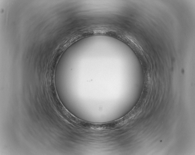 X0000087740311200705070933