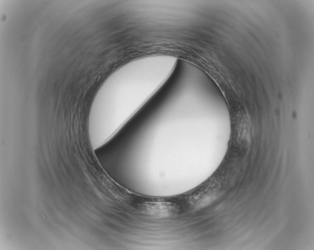 X0000087740316200705070933