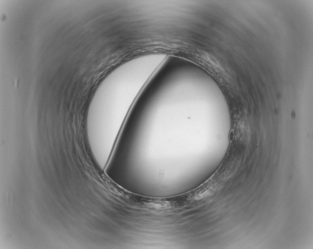 X0000087740317200705070933