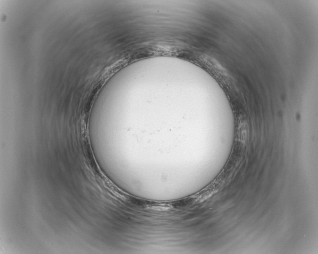 X0000087740318200705070933