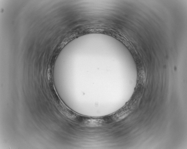 X0000087740323200705070933