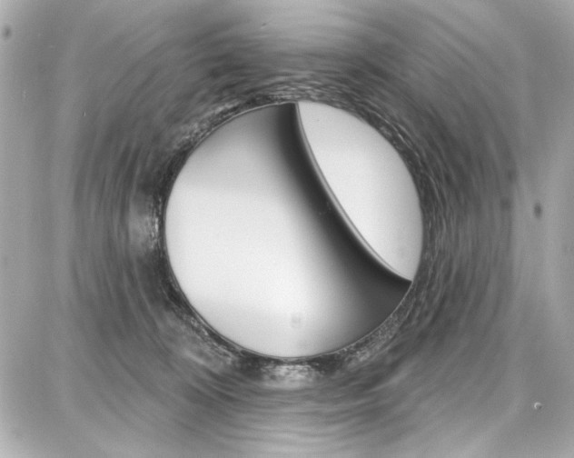 X0000087740324200705070933