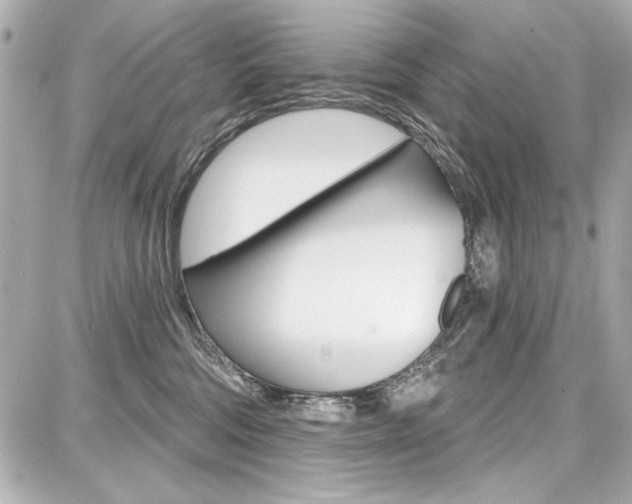X0000087740330200705070933