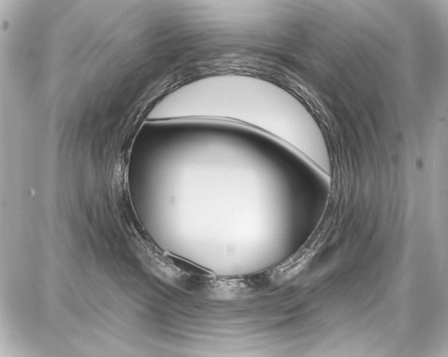X0000087740333200705070933