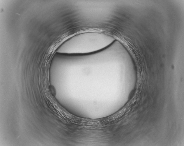 X0000087740337200705070932