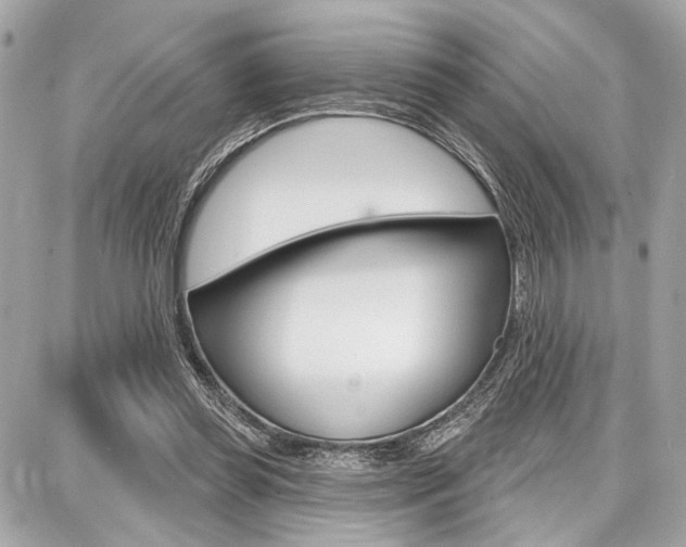 X0000087740349200705070932