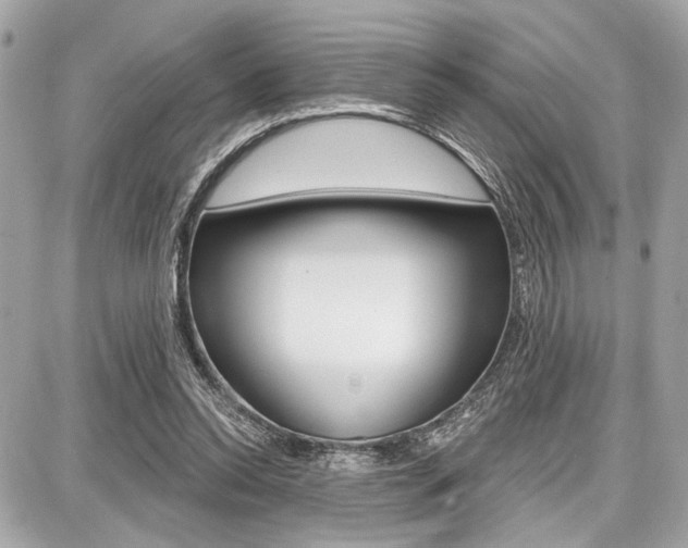 X0000087740350200705070932