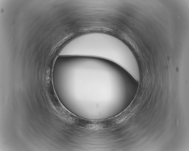 X0000087740356200705070932