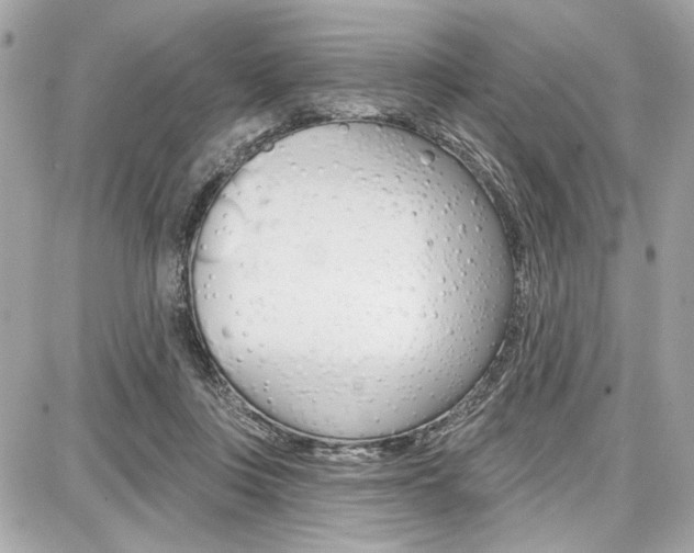 X0000087740359200705070932
