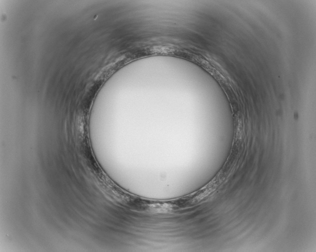 X0000087740363200705070932