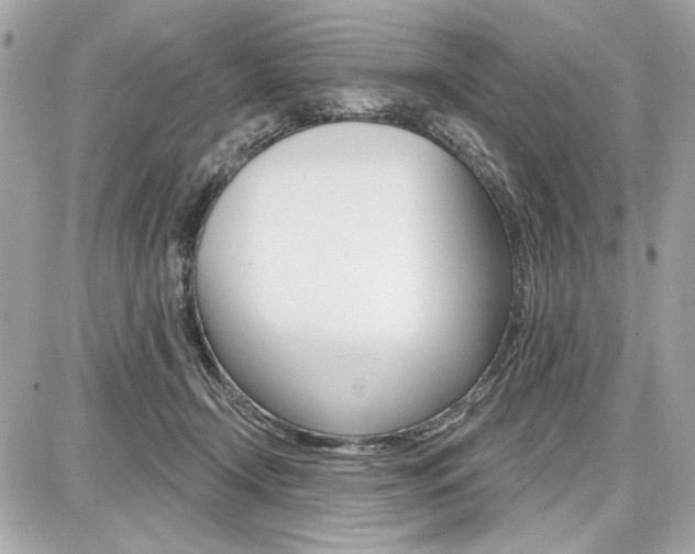X0000087740366200705070932