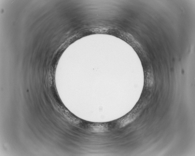 X0000087740370200705070932