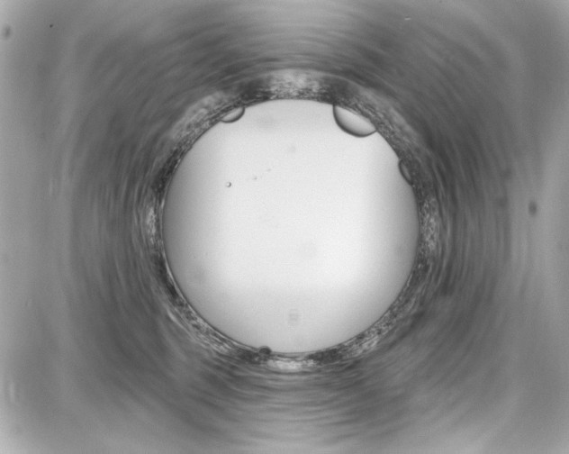 X0000087740375200705070932