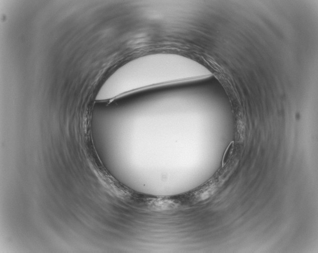 X0000087740379200705070932