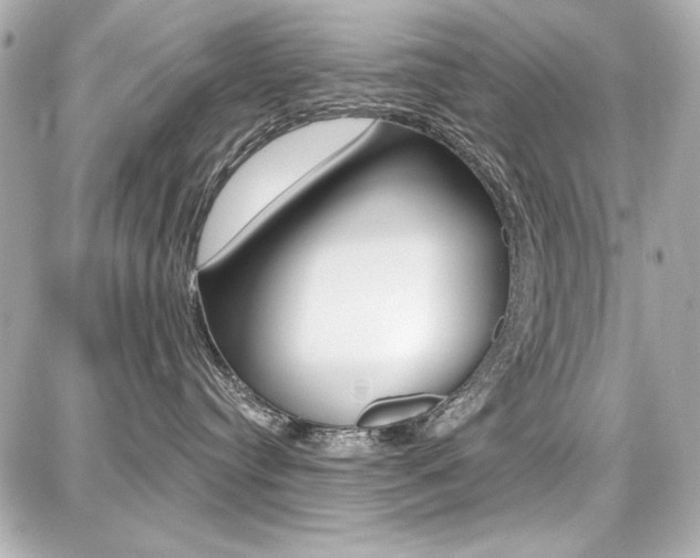X0000087740384200705070932