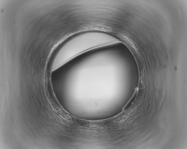 X0000087740388200705070932