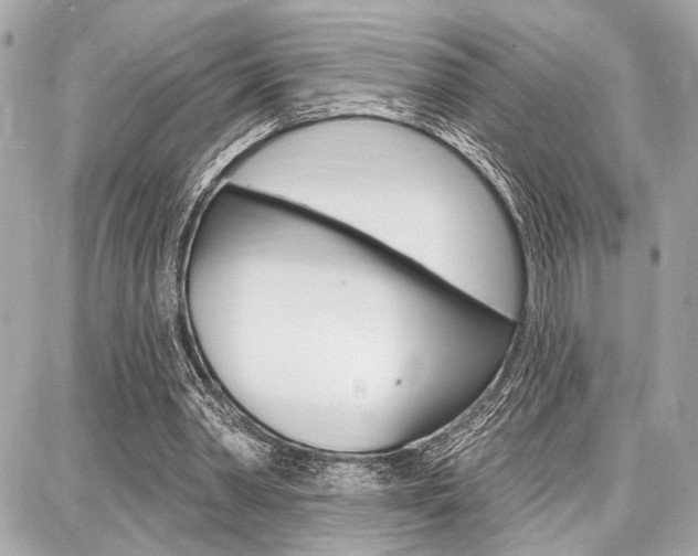 X0000087740390200705070932
