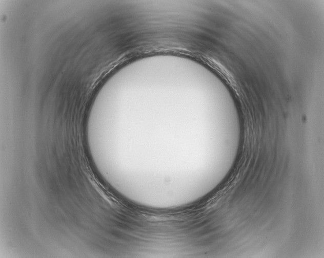 X0000087740405200705070931