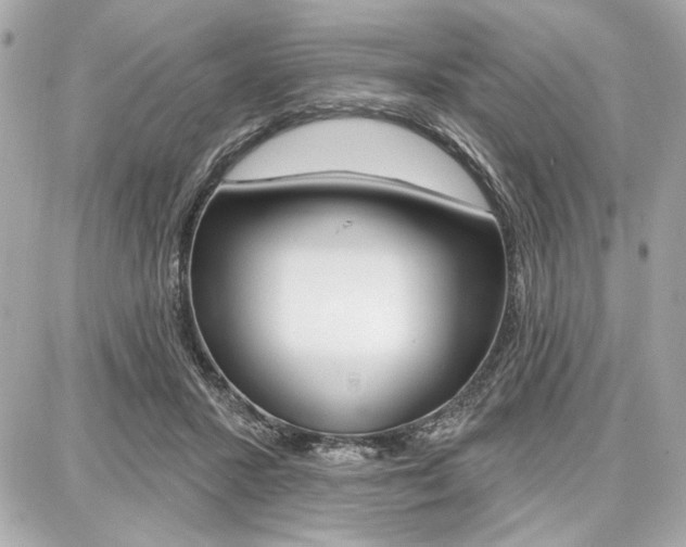 X0000087740407200705070931