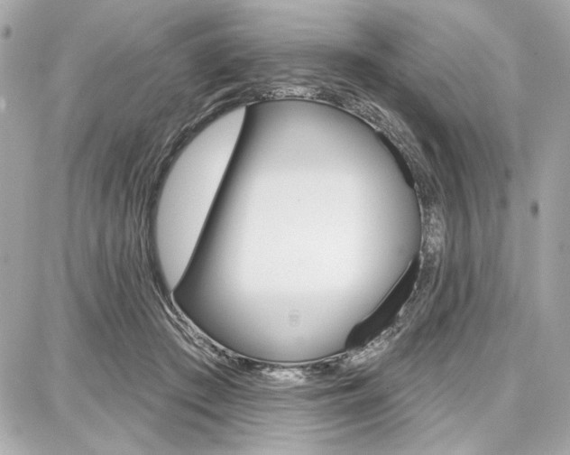 X0000087740409200705070931
