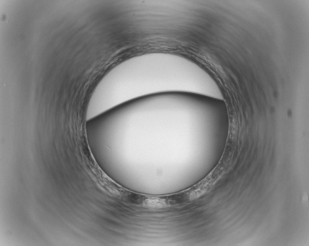 X0000087740413200705070931