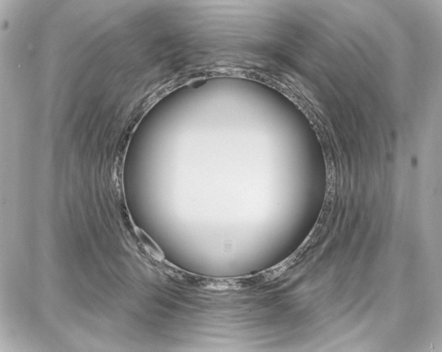X0000087740415200705070931