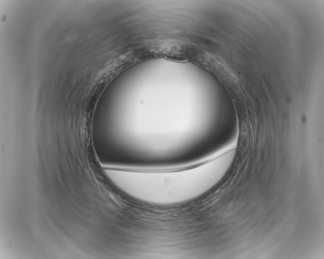X0000087740416200705070931
