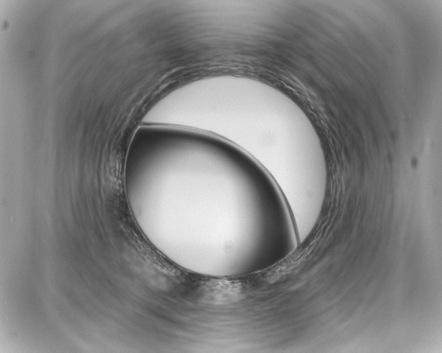 X0000087740421200705070931