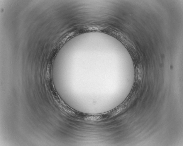 X0000087740422200705070931
