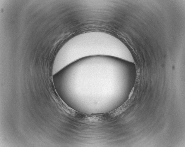 X0000087740423200705070931