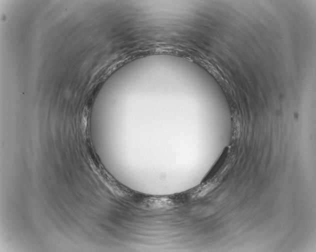 X0000087740427200705070931