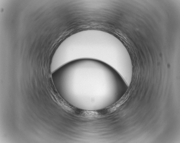 X0000087740429200705070931