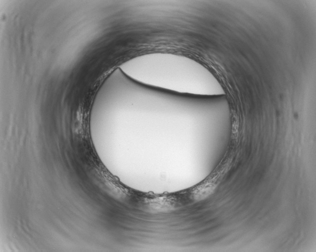 X0000087740430200705070931