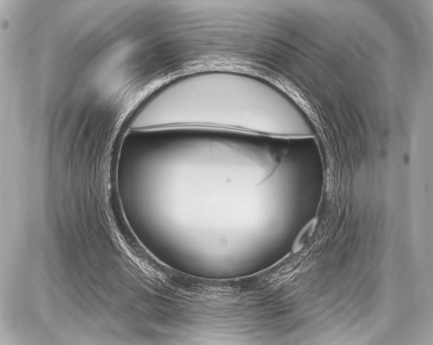 X0000087740438200705070930