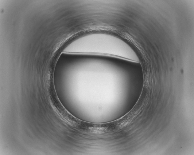 X0000087740448200705070930