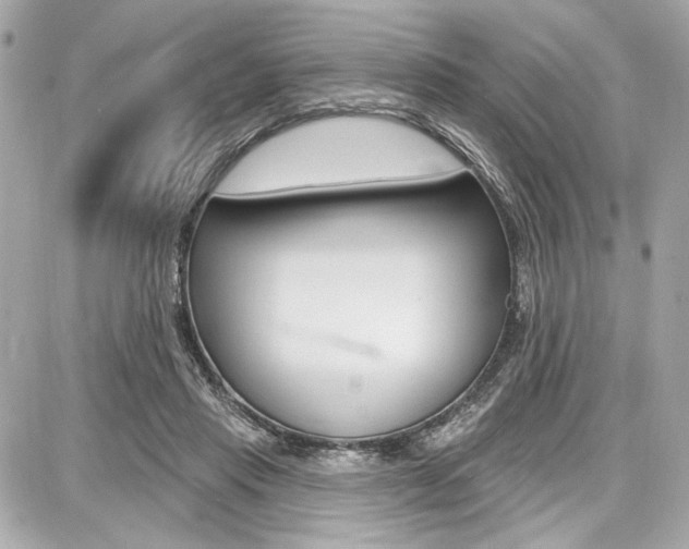 X0000087740453200705070930