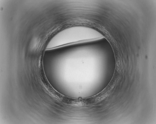 X0000087740454200705070930
