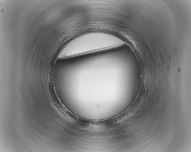 X0000087740455200705070930